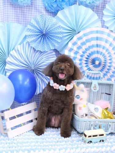 20231105杏ちゃん